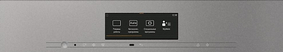 Пароварка с СВЧ Miele DGM7840 GRGR preview 2