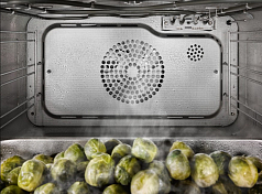 Комби-пароварка Miele DGC 7460 OBSW