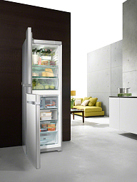 Холодильник Miele KFN14827SDE ED/CS-2