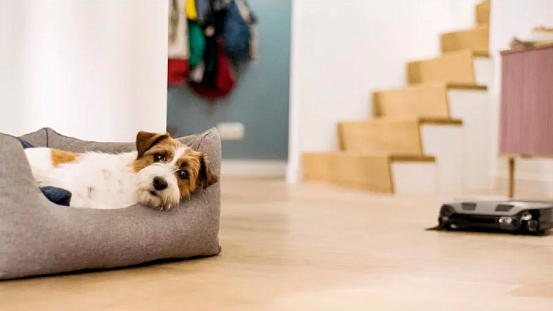 Робот-пылесос Miele SPQL Scout RX3 Runner preview 9