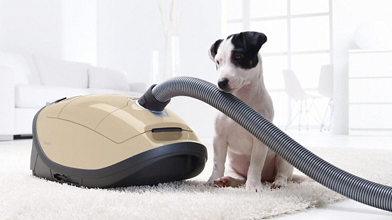 Пылесос Miele SGDA0 Complete C3 слоновая кость preview 8