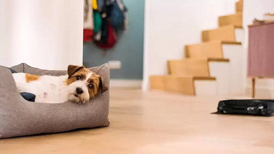 Робот-пылесос Miele Scout RX3 OBSW черный preview 14